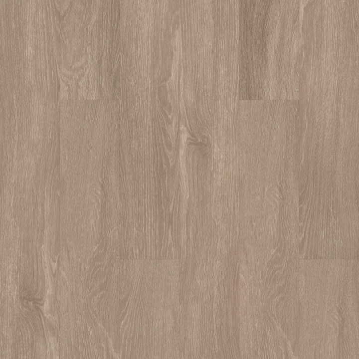 Shaw Downtown Hollywood Boulevard Brown 8-mil x 6-in W x 48-in L Waterproof Glue Down Luxury Vinyl Plank Flooring (53.63-sq ft/ Carton)