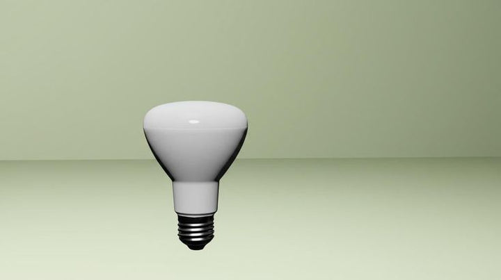 EcoSmart 50-Watt Equivalent BR20 Dimmable LED Light Bulb Daylight (24-Pack)