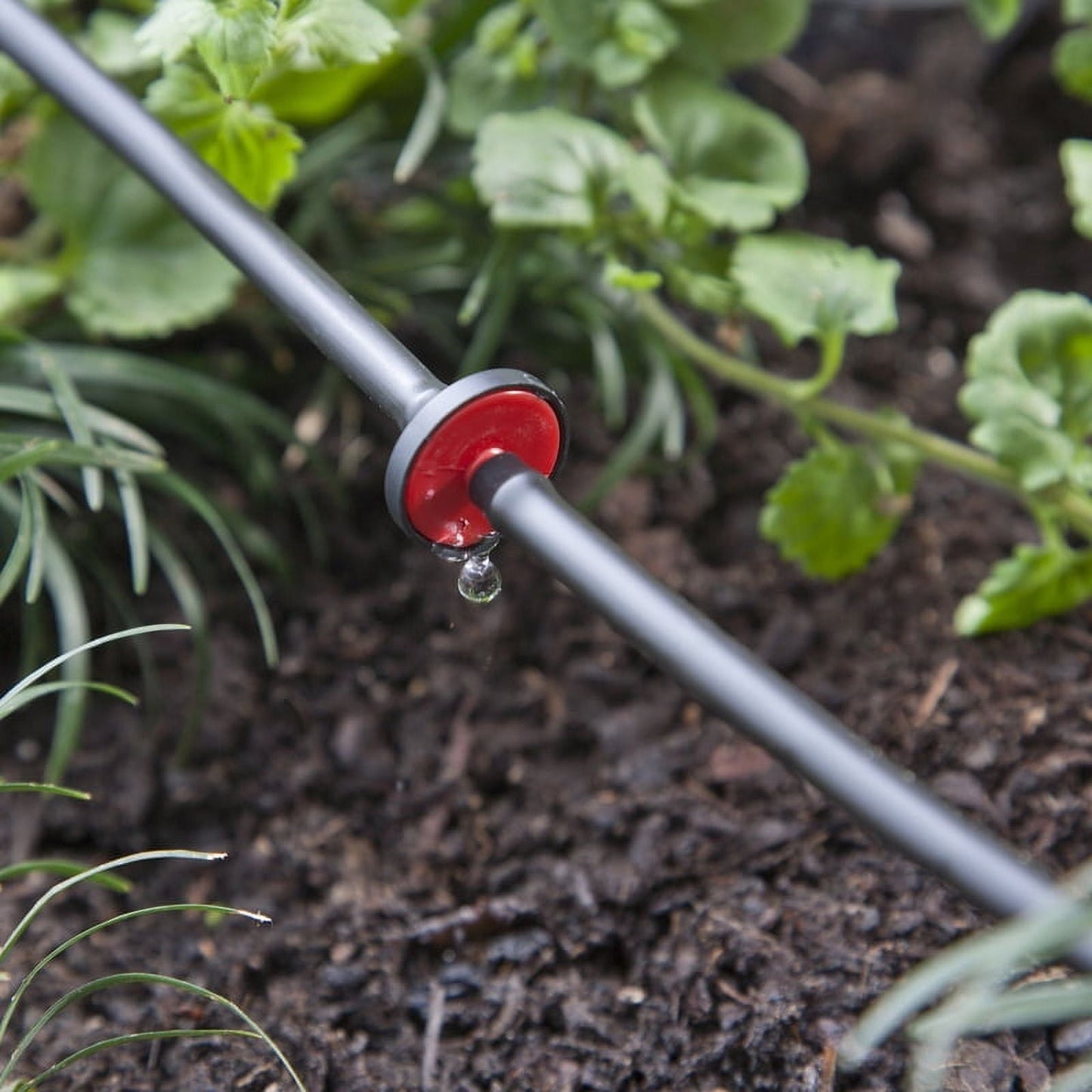 Raindrip Spot Drip Irrigation Mini In-Line Dripper, 0.5 GPH, 10-Pack