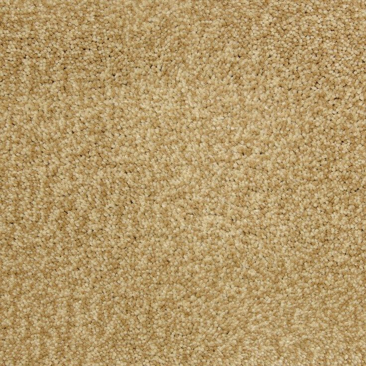 STAINMASTER PetProtect Magnetic Heirloom Textured Carpet Sample (Interior)