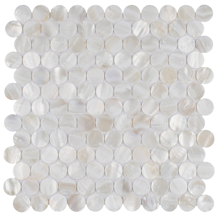 Affinity Tile Conchella Penny White 11-in x 12-in Glossy Natural shell Round Mosaic Wall Tile product image