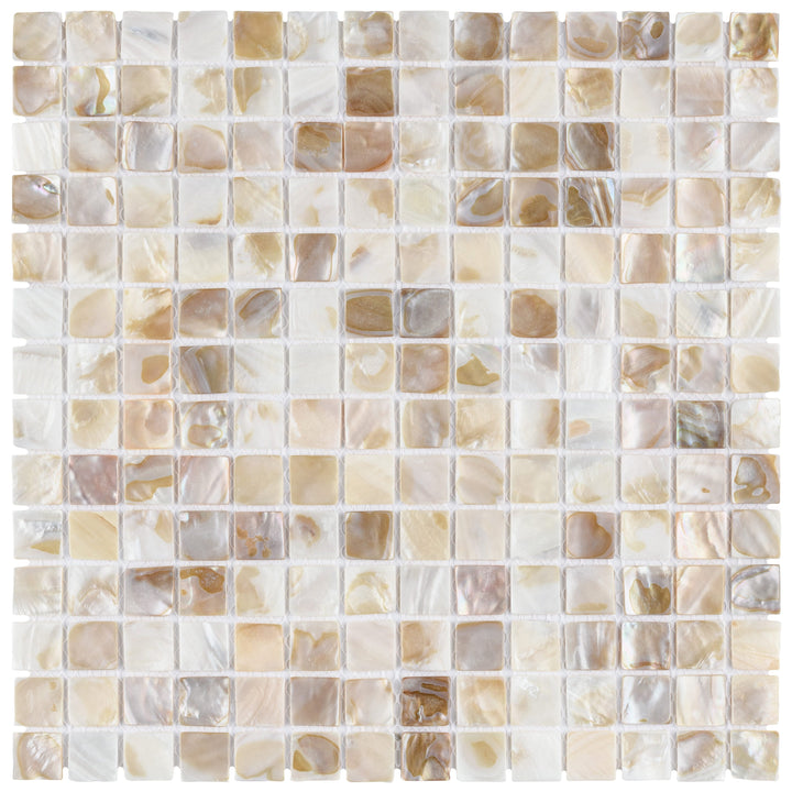 Affinity Tile Conchella Square Natural 12-in x 12-in Glossy Natural shell Mosaic Wall Tile product image