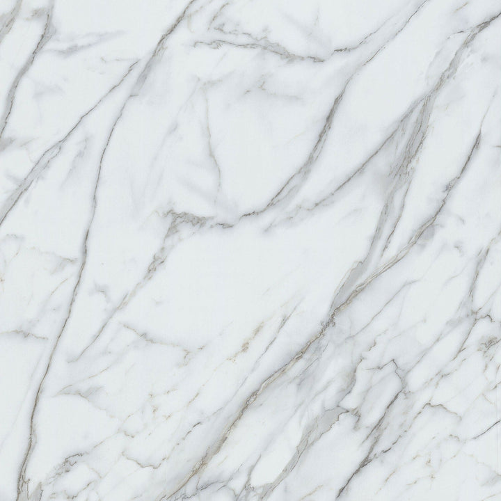 Lucida USA Terracore Calacatta Gray 22-mil x 12-in W x 24-in L Waterproof Interlocking Luxury Vinyl Plank Flooring (16-sq ft/ Carton)