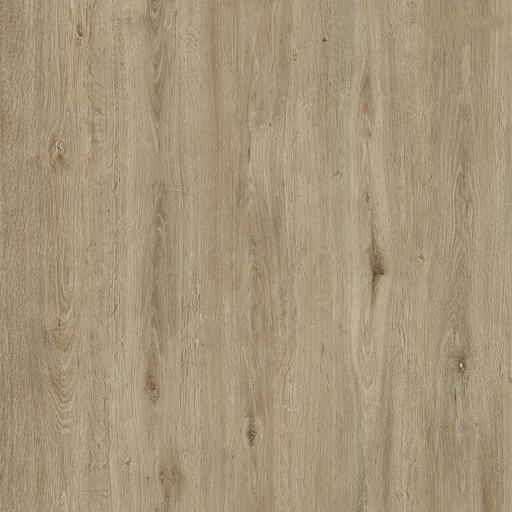 Lucida USA (Sample) PresCore Straw Brown Wood Look 12-mil Water Resistant Glue Down Vinyl Tile