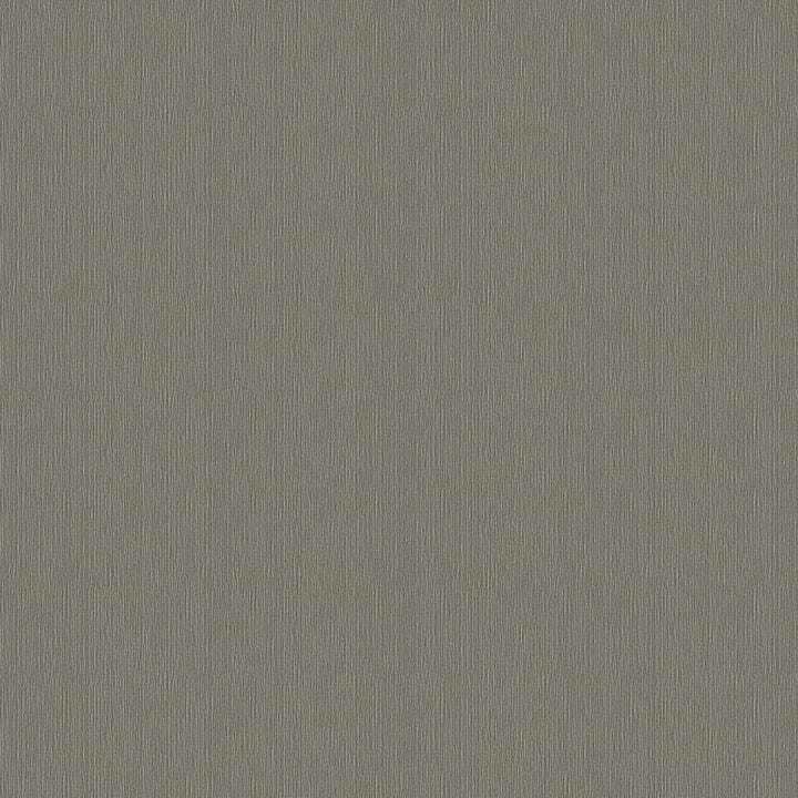 Lucida USA (Sample) Decocore Soft Gray Wood Look 22-mil Interlocking Luxury Vinyl Plank