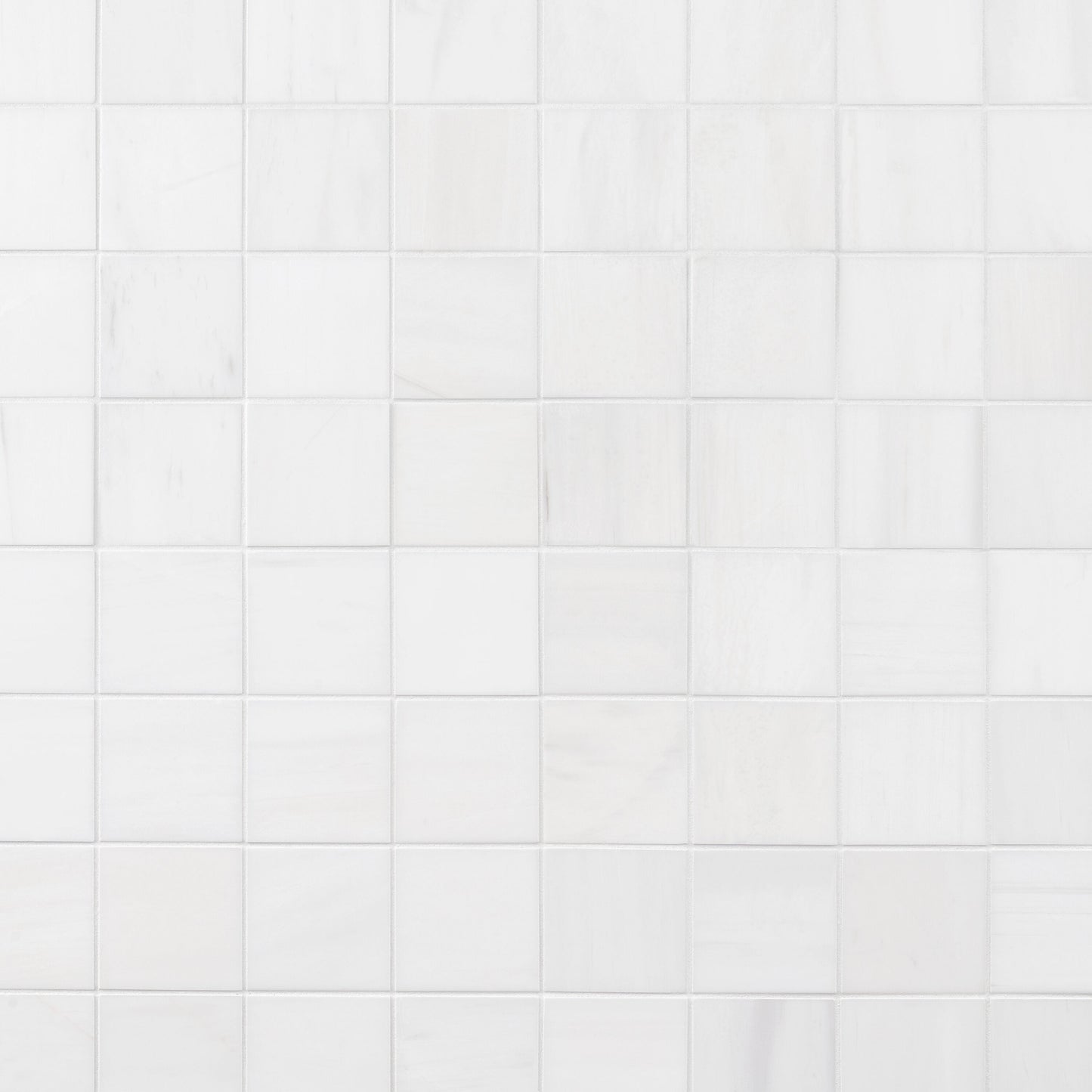 Artmore Tile Bianco Dolomite White 12-in x 12-in Honed Natural stone Marble Marble look Mosaic Floor and Wall Tile product image