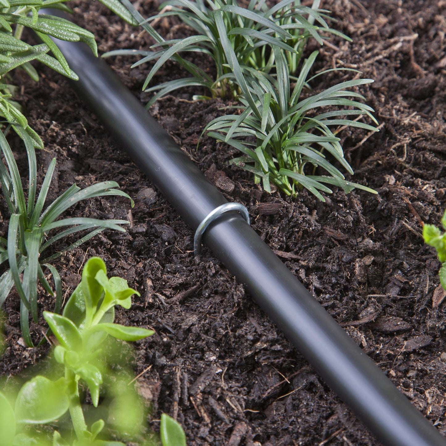 Raindrip 12 in. Galvanized Steel Watering Stakes for 1/2 in. Tubing, 12-Pack