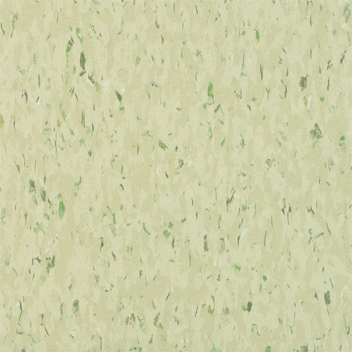 Armstrong Excelon Multi 12 in. x 12 in. Mint Masquerade Vinyl Tile Flooring (45 sq. ft. / case)