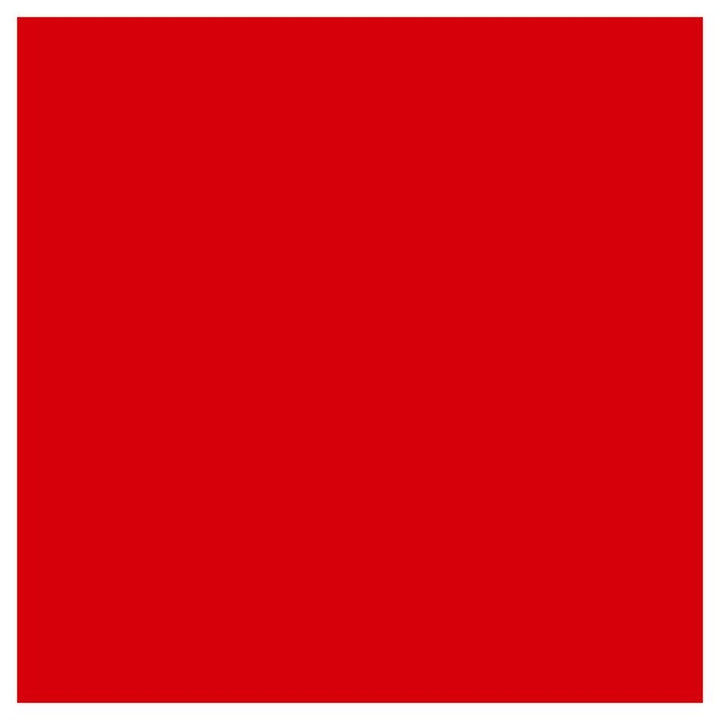 Armstrong Flooring Feature Strip 24-Piece 24-in x 2-in Red Commercial VCT Tile