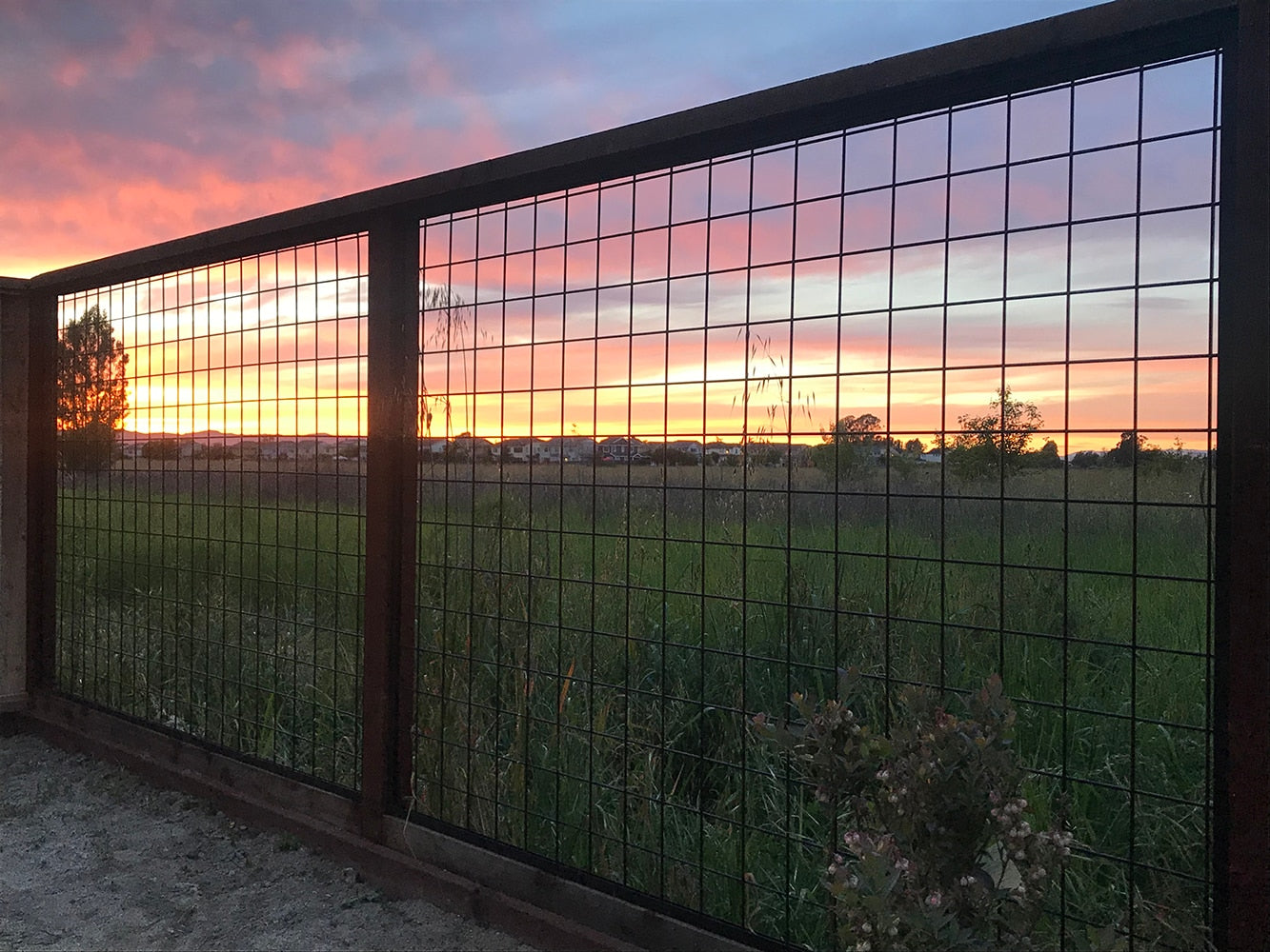 Wild Hog 2/5-in x 60-in x 72-in Black Metal Rectangular Railing Panel