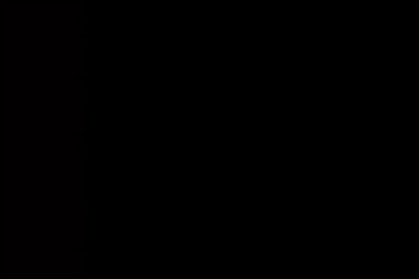Wild Hog 2/5-in x 36-in x 72-in Black Metal Rectangular Railing Panel