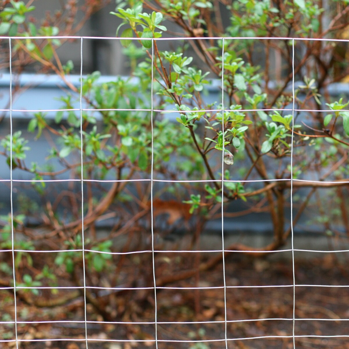 GARDEN CRAFT 50-ft x 3-ft Gray Galvanized Steel Welded Wire Rolled Fencing