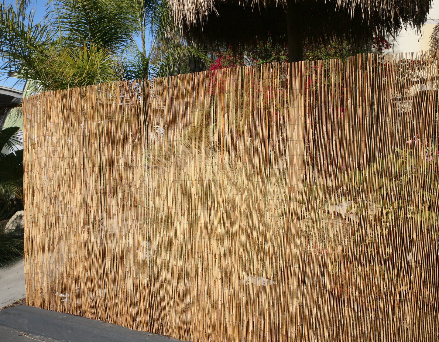 Backyard X-Scapes 6-ft x 16-ft Bamboo Semi-privacy No Dig Fence Panel