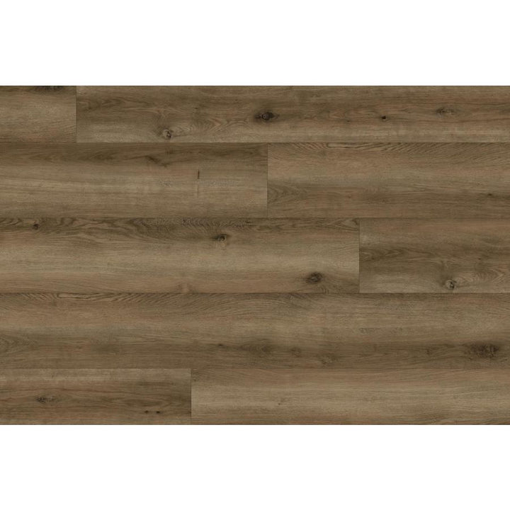 ProCore Plus 10-Piece 7-in x 47.75-in Warm Honey Oak Luxury Vinyl Plank Flooring