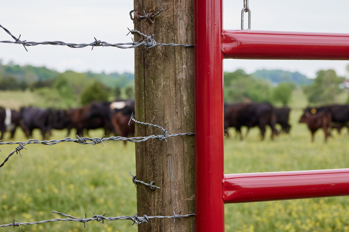 Tarter 4-ft H x 20-ft W Red E-coat Steel Corral Flat-top Farm Fence Gate