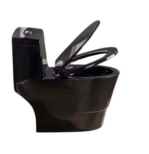 WOODBRIDGE Bering 1-Piece 1.0/1.6 GPF High-Efficiency Dual-Flush Elongated WaterSense Toilet, MaP 1000g, Black