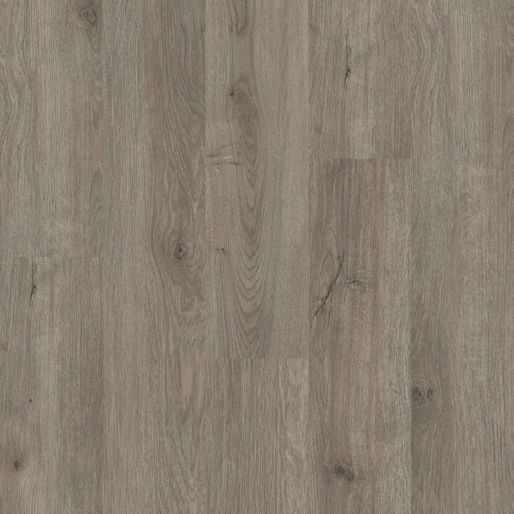 Shaw Perennial Brisbane Gray 6-mil x 6-in W x 48-in L Waterproof Glue Down Luxury Vinyl Plank Flooring (53.93-sq ft/ Carton)
