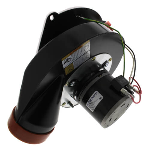 Packard 66781 inducer motor - side view (Voltage: 115V; RPM: 3000)