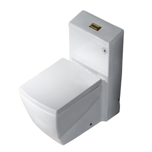 WOODBRIDGE 1-Piece 1.0/1.6 GPF High-Efficiency Dual-Flush Elongated Toilet, Black with Chrome Button, Soft-Close Seat Included