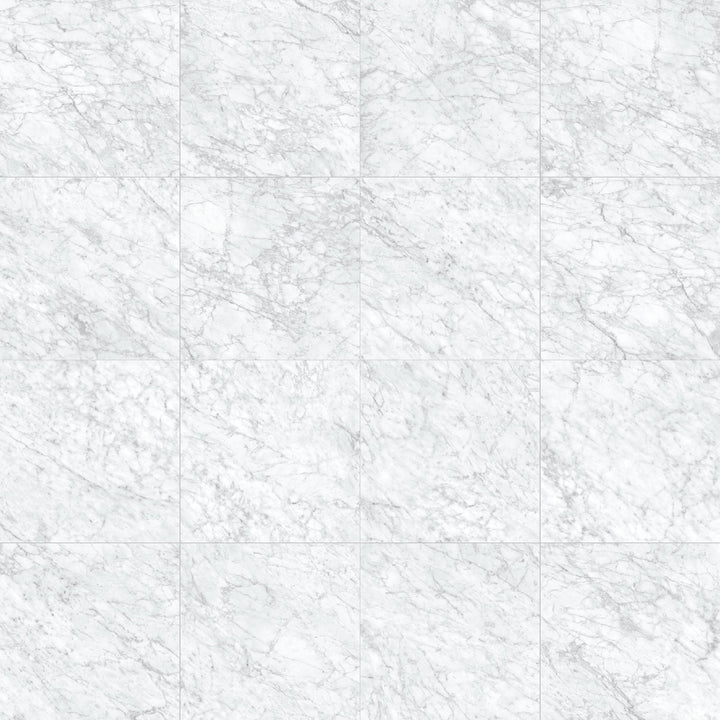 Satori La Marca Carrara Gioia 24-in x 24-in Honed Porcelain Marble look Floor and Wall Tile product image