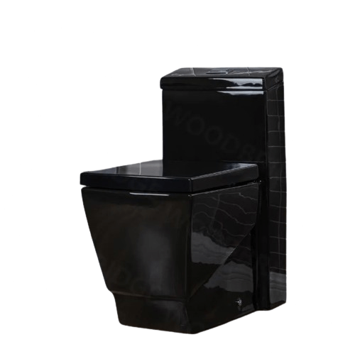 WOODBRIDGE Modern 1-Piece 1.0/1.6 GPF Dual Flush Elongated Toilet in Black