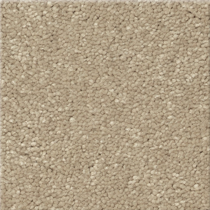 STAINMASTER Essentials Blue Diamonds III 8-in x 8-in Raw Lumber Textured Carpet Sample, 73.1-oz/sq yd Polyester (Indoor)