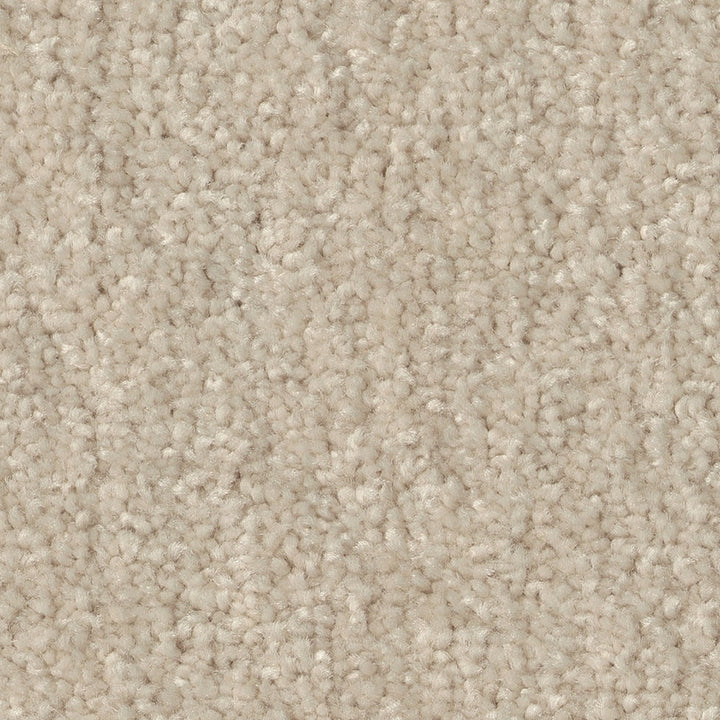 STAINMASTER Essentials Blue Diamonds II 12-ft Bleached Textured Carpet Sample (Interior)