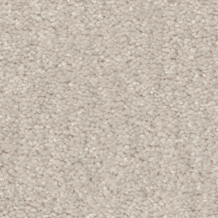 STAINMASTER Essentials Blue Diamonds II 12-ft Minimalist Textured Indoor Carpet