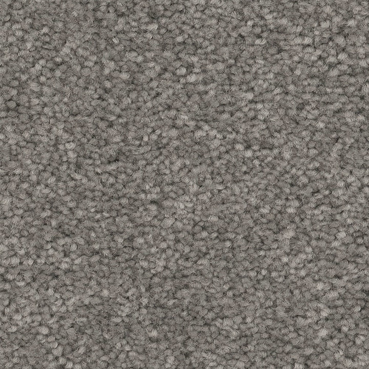 STAINMASTER Essentials Blue Diamonds I 15-ft Concrete Textured Indoor Carpet, 48.8-oz Face Weight