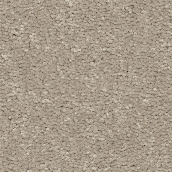STAINMASTER Essentials Blue Diamonds I 15-ft Greige Textured Indoor Carpet, 48.8-oz Face Weight