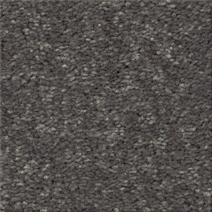 STAINMASTER Essentials Blue Diamonds I 15-ft Iron Textured Carpet (Indoor)