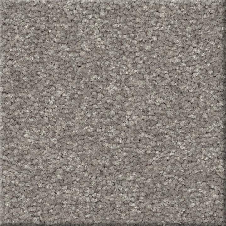 STAINMASTER Essentials Blue Diamonds I 12-ft Dusty Trail Textured Indoor Carpet