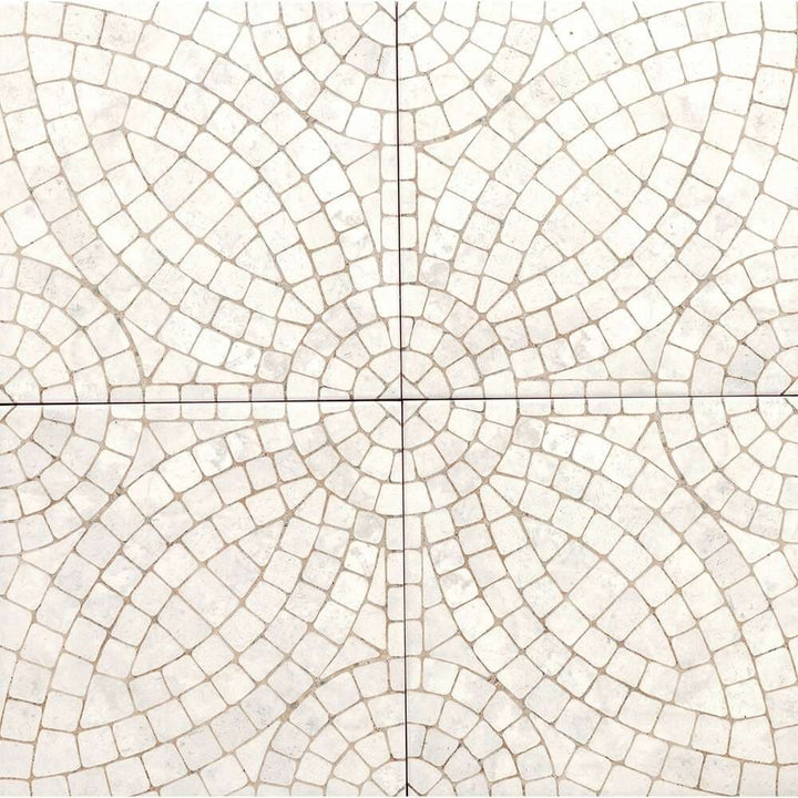 The Tile Life Roman Road White 8-in x 8-in Satin Porcelain Encaustic Floor and Wall Tile product image