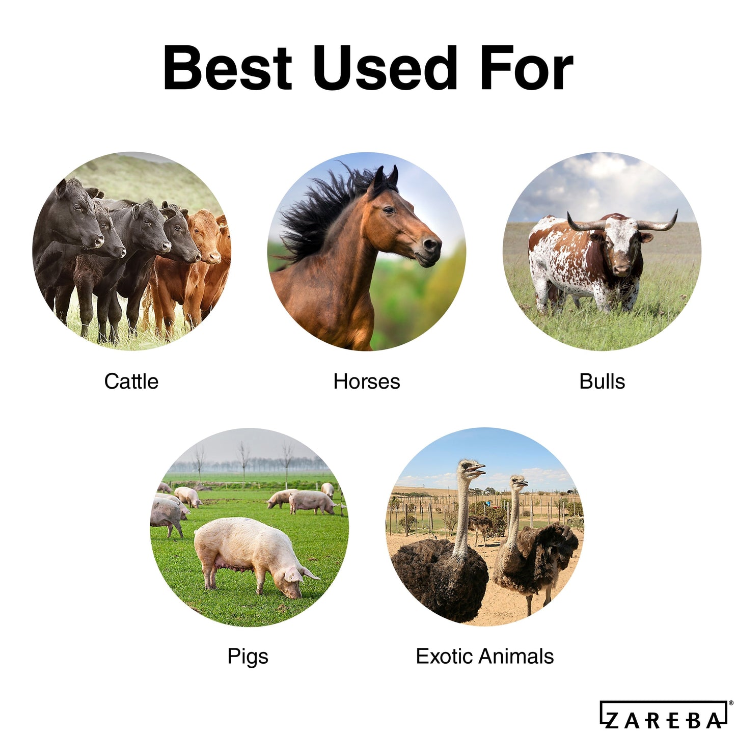 Zareba Systems 25 MIle AC Powered Low Impedance Charger 25-Mile Ac Hardwired Electric Fence Charger