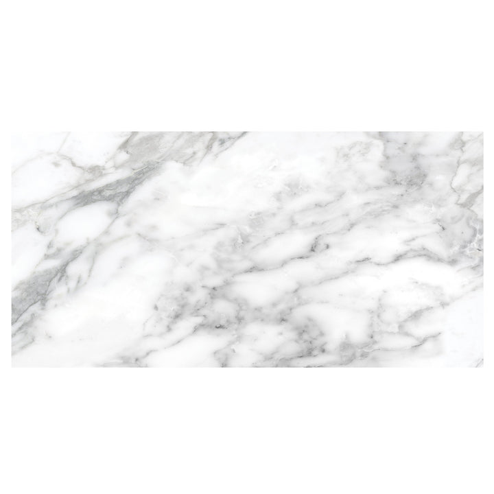 Satori La Marca Arabescato 12-in x 24-in Honed Porcelain Marble look Floor and Wall Tile product image