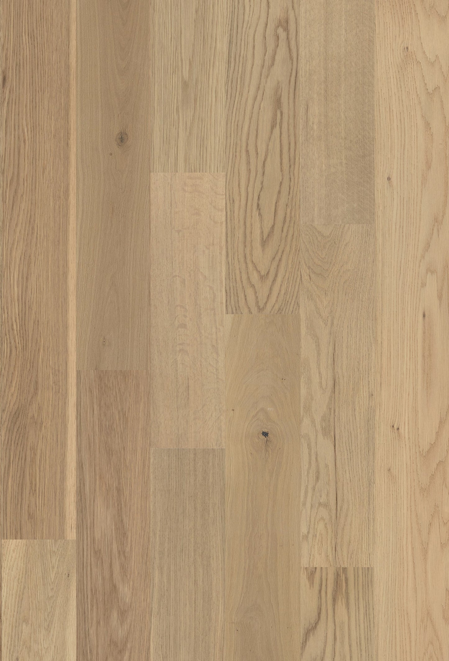allen + roth White oak Firenze hardwood flooring — detail view