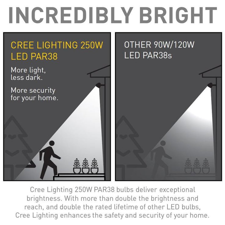Cree 250-Watt Equivalent PAR38 High Brightness Dimmable Exceptional Light LED Flood Light Bulb Bright White (3000K)