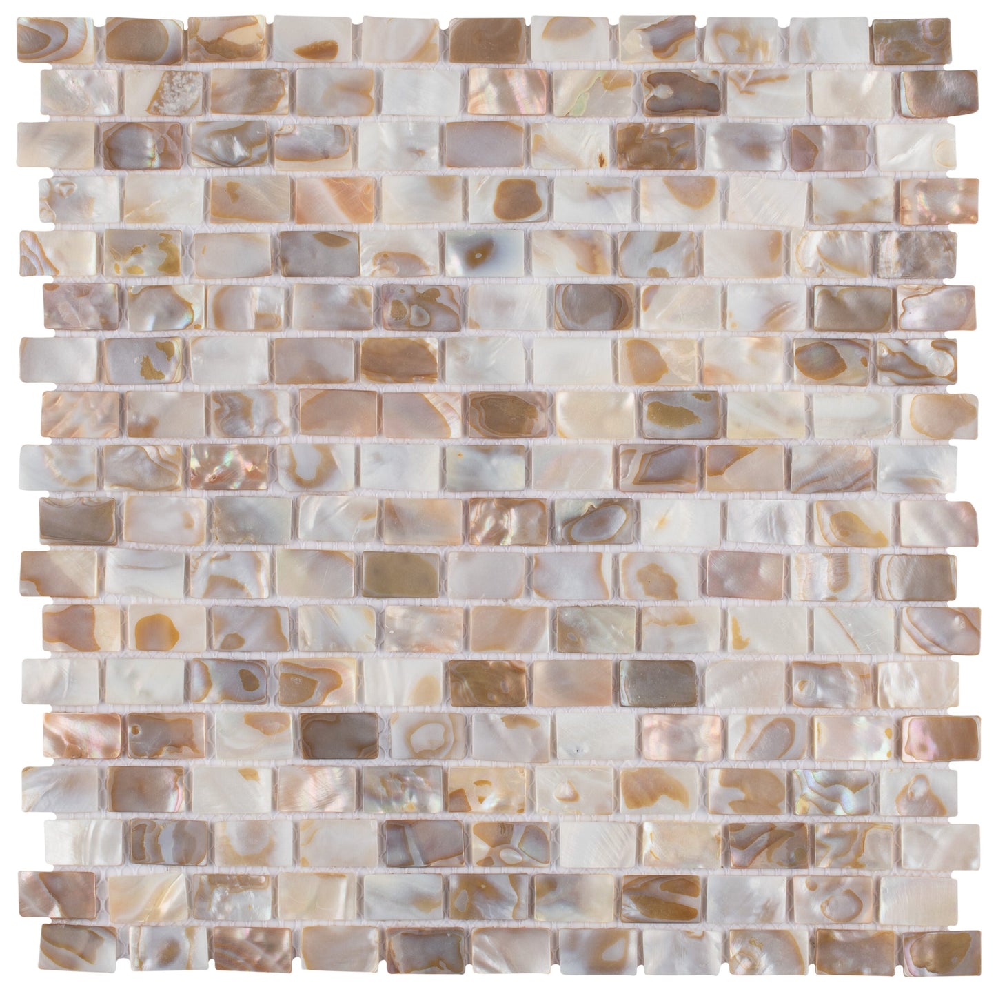 Affinity Tile Conchella Subway Natural 12-in x 13-in Glossy Natural shell Mosaic Wall Tile product image