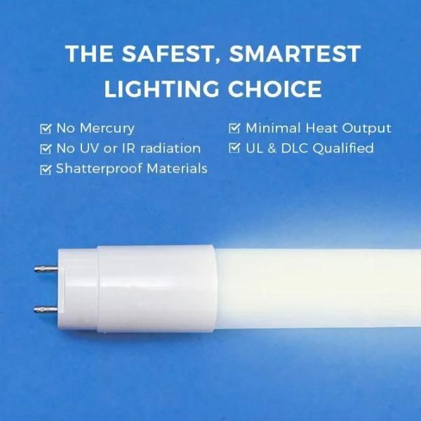 Pio Energy 12-Watt 4 ft. Linear T8 LED Tube Hybrid Nano Plastic 5000K LED Light Bulb, (42-Pack)