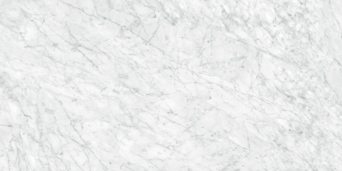 Satori La Marca Carrara Gioia 24-in x 48-in Honed Porcelain Marble look Floor and Wall Tile product image