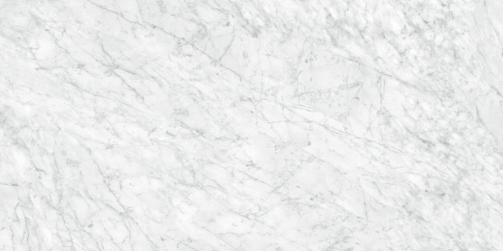 Satori La Marca Carrara Gioia 24-in x 48-in Honed Porcelain Marble look Floor and Wall Tile product image