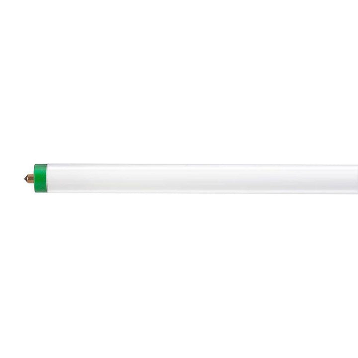Philips 59-Watt 8 ft. ALTO Plus Linear T8 Fluorescent Tube Light Bulb, Cool White (4100K) (15-Pack)