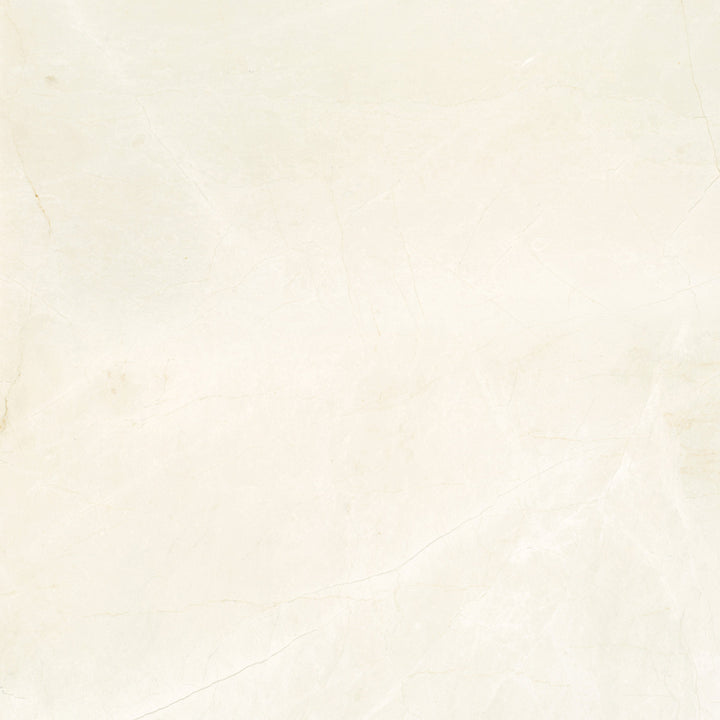 Satori Avorio Crema 24-in x 24-in Honed Natural stone Marble Marble look Floor and Wall Tile product image