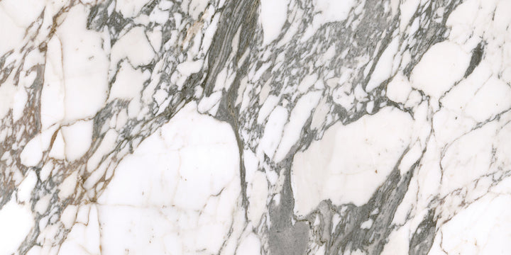 Satori Arabescato Palazzo 24-in x 48-in Honed Porcelain Marble look Floor and Wall Tile product image