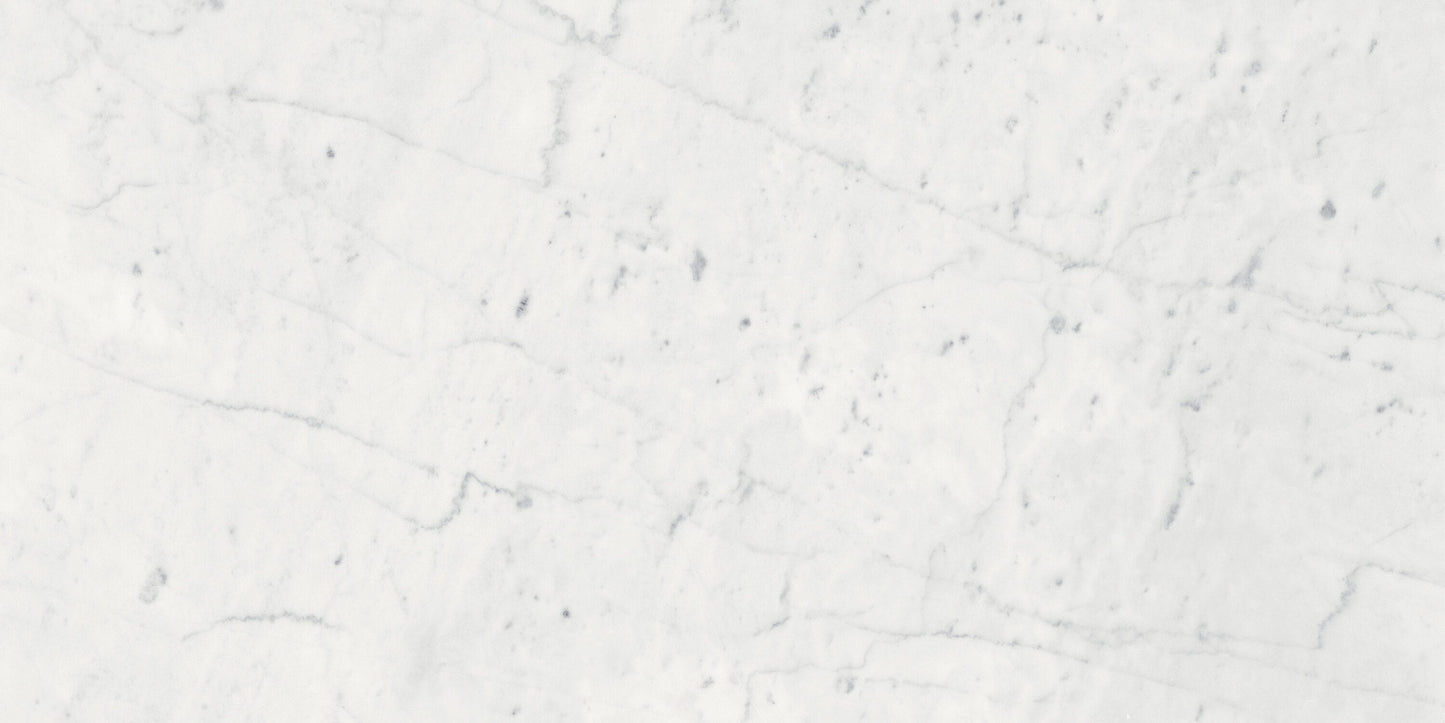 Satori Eterna Bianco 12-in x 24-in Honed Natural stone Marble Floor and Wall Tile product image