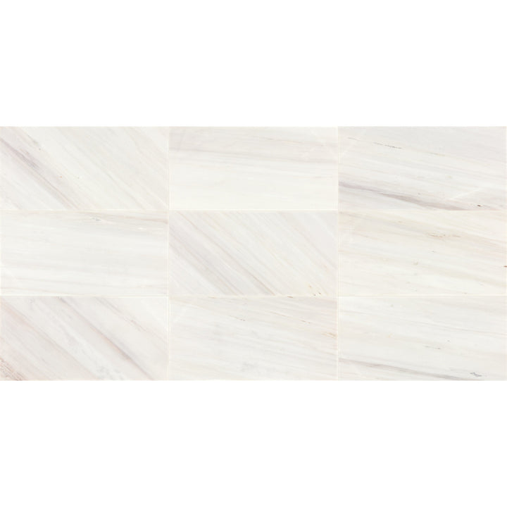 Daltile Eclessia Marble Pacifica 12-in x 24-in Honed Natural stone Marble Marble look Floor and Wall Tile product image
