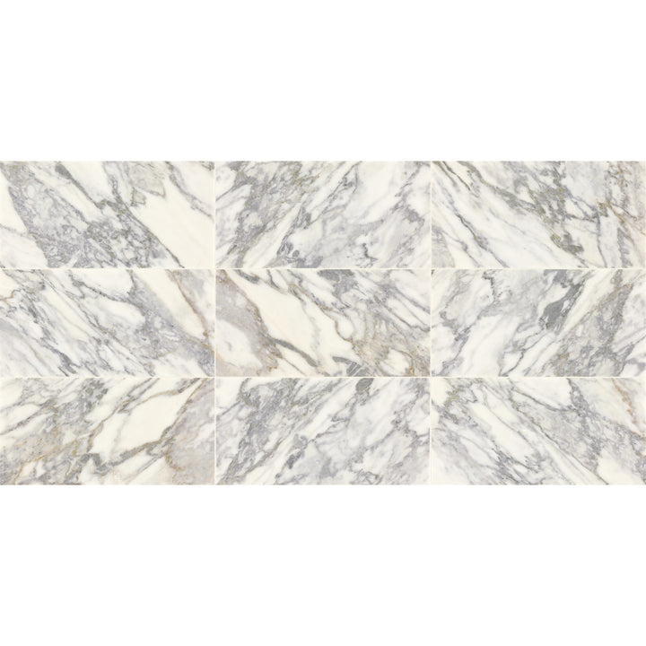 Daltile Eclessia Marble Arabescato Argento 12-in x 24-in Honed Natural stone Marble Marble look Floor and Wall Tile product image