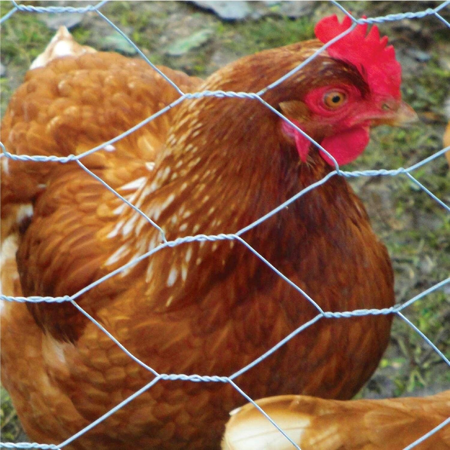 7852bb6b-42e4-4c93-803a-b911bbd870a4_quality=60&_mzcb=_1649148331752_-960359149