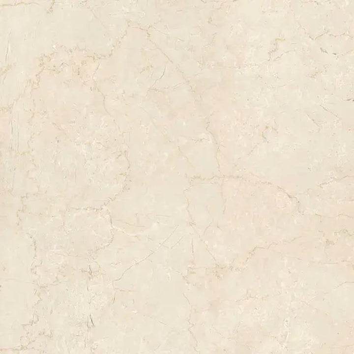 Apollo Tile Regalia Crema Beige 24-in x 24-in Matte Porcelain Encaustic Floor and Wall Tile product image