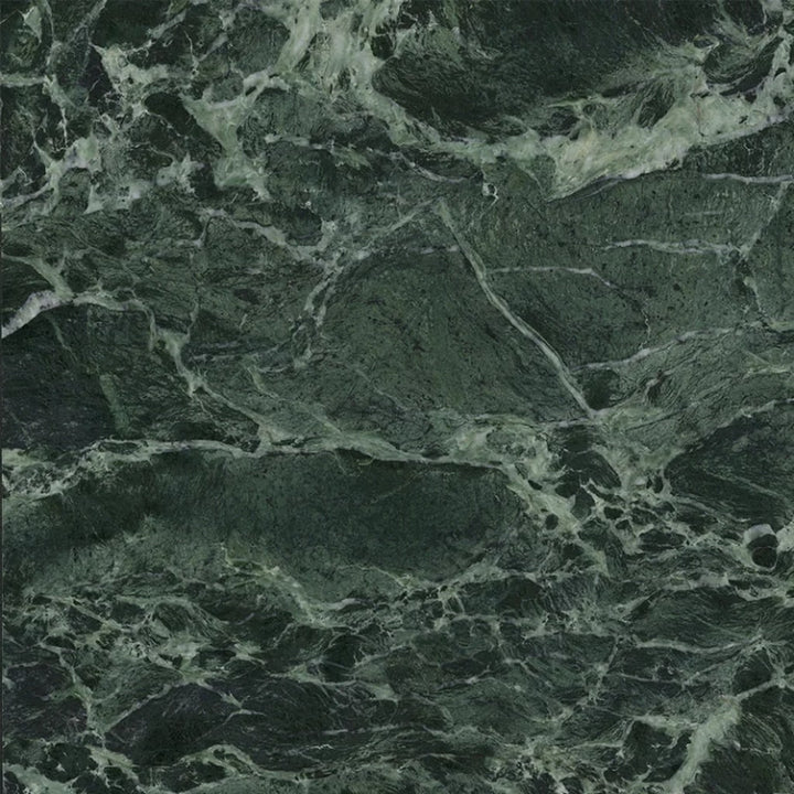 Apollo Tile Regalia Verde Alpi 24-in x 24-in Matte Porcelain Encaustic Floor and Wall Tile product image